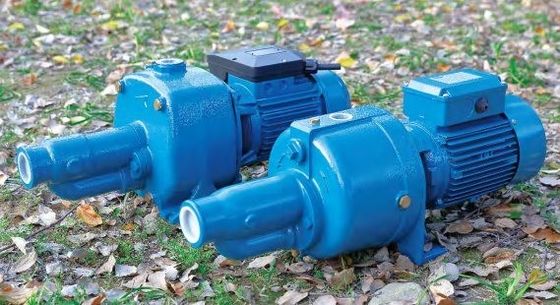 Mini Electric Water Pump Vortex Jet Pump High Pressure de aço inoxidável